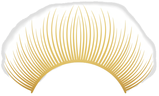 Mega Volume Lashes Icon